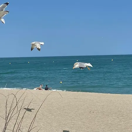 Holiday home Situation Exceptionnelle Du Racou Sur